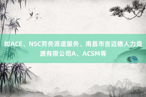 如ACE、NSC劳务派遣服务、南昌市吉迈德人力资源有限公司A、ACSM等
